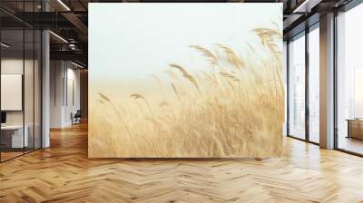 serene landscape with soft wheat grasses swaying gently calming beige minimalist background nature photography Wall mural