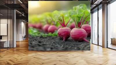 vibrant beetroots growing in lush farm fields rich colors and organic shapes showcase the beauty of sustainable agriculture Wall mural