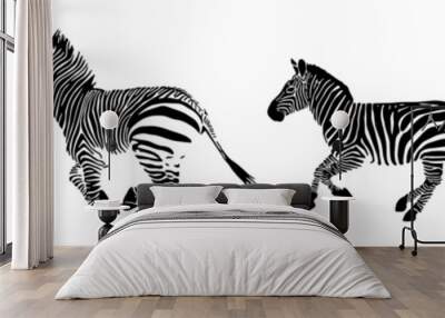 zebra vector only black stripe negative space. isolated transparent white background. eps 10 Wall mural