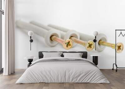 Brass metal screws with plastic dowels. Wall mural