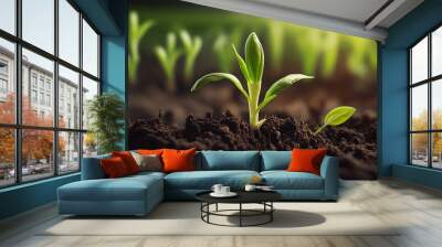 Springtime corn field with fresh, Agricultural landscape with soil based corn sprouts. Generative Ai Wall mural