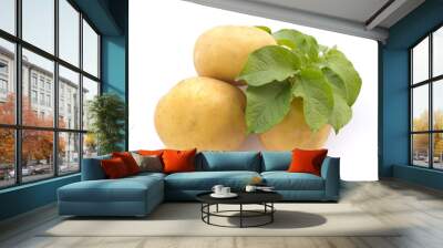 potatoes Wall mural