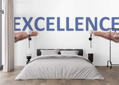 excellence message Wall mural