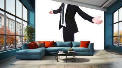 Isolated business man Wall mural