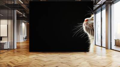 A sharply focused profile shot of an orange tabby cat looking upward against a black background highlighting its curiosity Wall mural