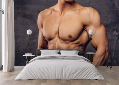 Beautiful shirtless young man model with nice muscular body posing at a studio. Wall mural