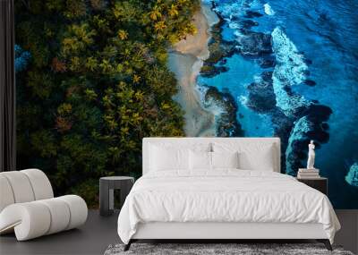 Magnificent aerial shot of a blue tropic lagoon with crystal clear water surrounded by beach and palm trees. View from the top Wall mural