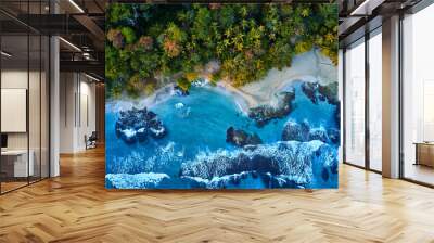 Magnificent aerial shot of a blue tropic lagoon with crystal clear water surrounded by beach and palm trees. Wall mural