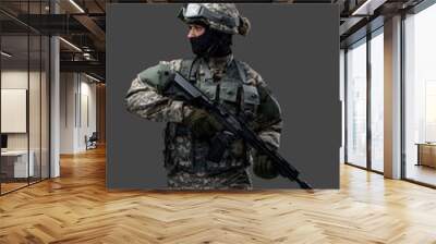 Shot of military man dressed in modern camouflage clothes holding rifle. Wall mural