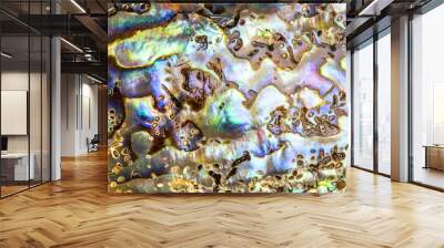 Detail of polished paua abalone shell Wall mural