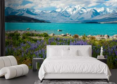 Lake Tekapo Wall mural