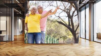 Two excited senior male friends pointing finger and admiring view at park Wall mural