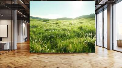 A vast, open field of grass with a bright sun shining down on it Wall mural