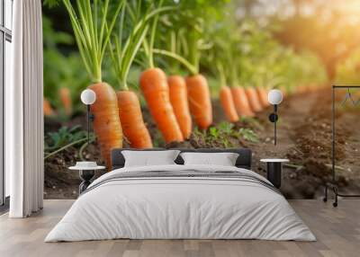 Rows of vibrant organic carrots growing in rich soil, early morning light casting long shadows. Wall mural