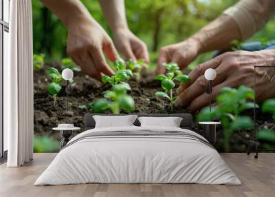 Two people are planting seedlings in a garden Wall mural