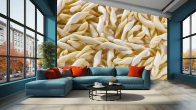 Background of raw Strozzapreti Wall mural