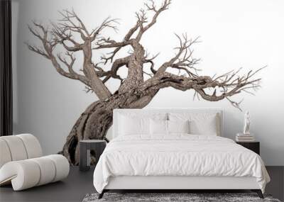 Dead tree isolated on white background, 3D rendering Wall mural