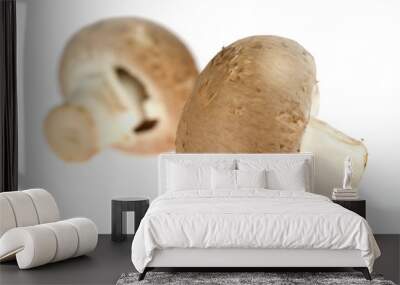 two chestnut mushrooms Wall mural