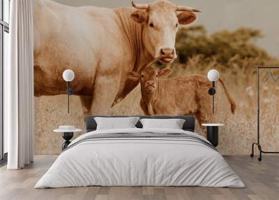 cow and calf Wall mural