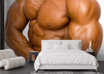 bodybuilder isolated Wall mural