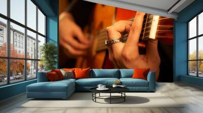 guitarist on stage Wall mural