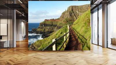 Path at the Giants Causeway, Ireland Wall mural