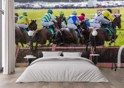 View of race horses and jockeys jumping a race track hurdle from behind Wall mural