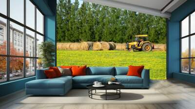 ya farm field 2 Wall mural