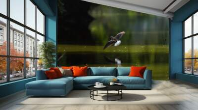 Flying bird Wall mural