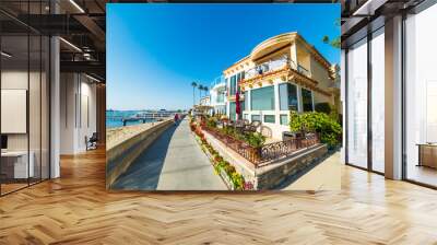 beautiful houses by the sea in balboa island Wall mural