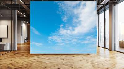 Blue sky with clouds in Florida shore Wall mural