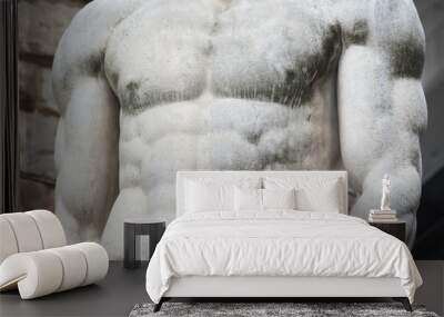 chest of Hercules statue in Florence Wall mural