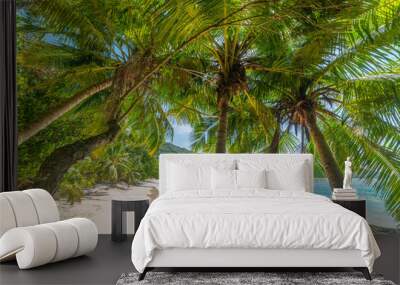 Coconut palm trees and turquoise water in Anse Lazio beach Wall mural