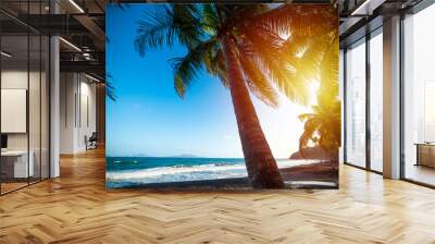 Grande Anse beach at sunset in Guadeloupe Wall mural