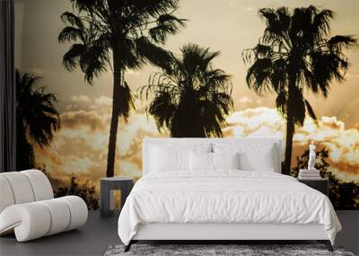 palm silhouette at sunset in Alghero Wall mural