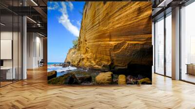 le cap jaune, saint joseph, reunion island Wall mural