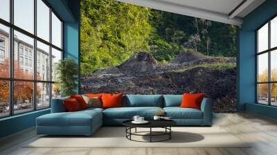 Old crater of Fournaise volcano at Reunion Island Wall mural