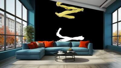 3D illustration of a orange juice flow with alpha layer Wall mural