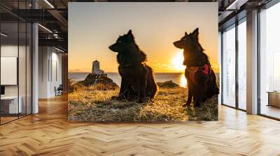 Dogs in the sunset  Wall mural