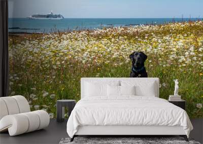 wildflower field and a black lab dog Wall mural