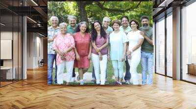 Group of  happy Retired Senior mature  men and women standing together in summer park. Togetherness, Elderly people. South asian Ethnicity.  Wall mural