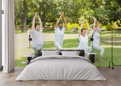 Group of indian senior people doing yoga sitting on grass. Mature man and woman wearing white cloths practicing meditation together outdoor. Wall mural