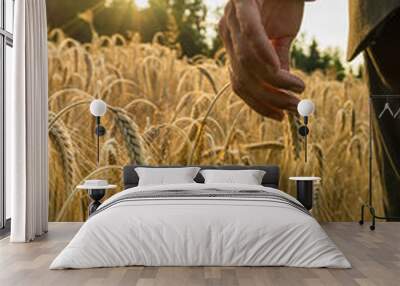 Hand of a businessman touching ripening ear of wheat Wall mural