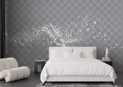 Collection of glittering stars with silver shimmering swirls, shiny glitter design. Magical motion, sparkling lines on a black background. Wall mural