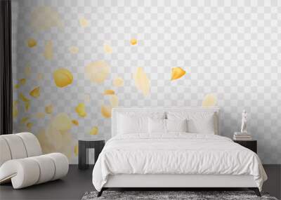 Yellow falling rose or sunflowers petals.Transparent panoramic horizontal background.Amber flower spring template. Wall mural