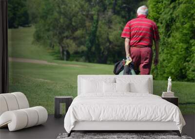 joueur de golf Wall mural