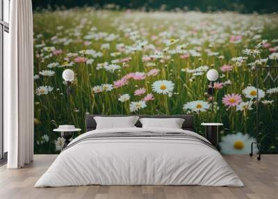 A beautiful day with a meadow full of pink and white spring daisies Wall mural