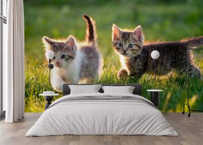 adorable kittens playing lush green field exuding charm innocence Wall mural