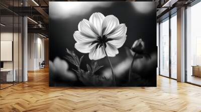 black white photo flower nature Wall mural