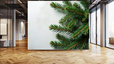 green fir tree branch used various holiday crafts decorations cards calendars banners packaging Wall mural